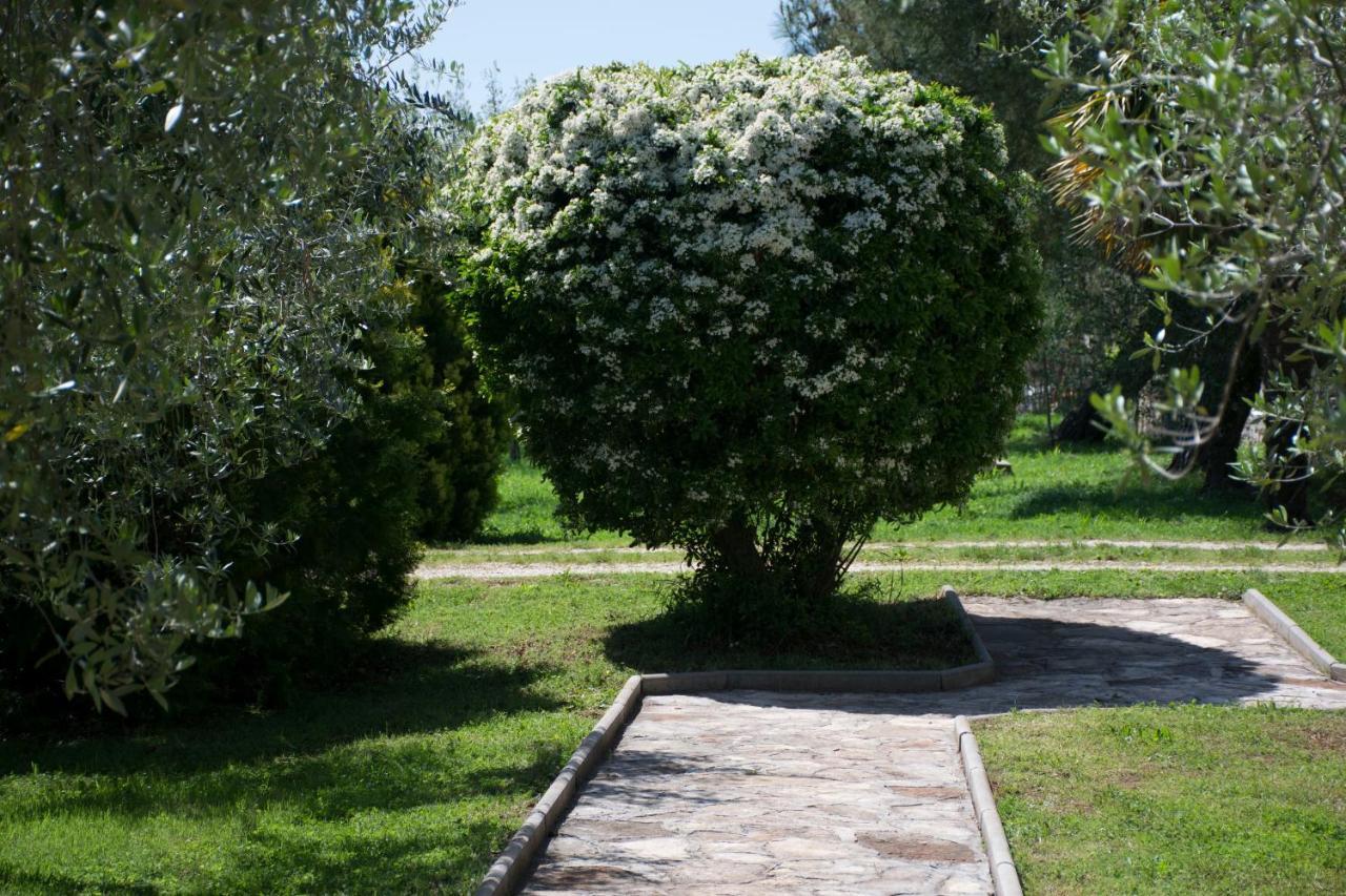 Sanja Apartments Sveti Servul Novigrad  ภายนอก รูปภาพ